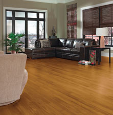 Armstrong Hampton Laminate Flooring Flooring America Rapid