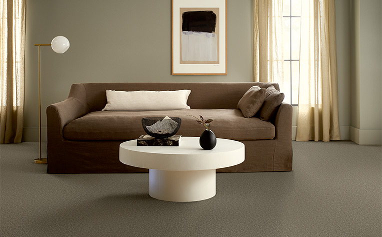 dark gray carpet in modern living room