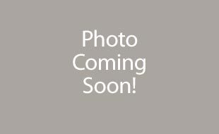 Karastan Area Rugs